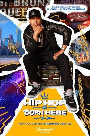 Hip Hop Was Born Here Hip Hop Was Born Here-hd