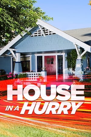 House in a Hurry House in a Hurry-hd
