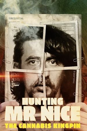 Hunting Mr Nice: The Cannabis Kingpin Hunting Mr Nice: The Cannabis Kingpin-hd