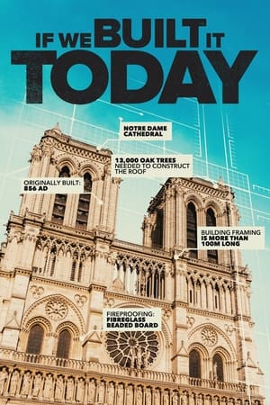 If We Built It Today If We Built It Today-hd