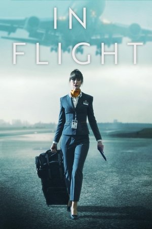 In Flight In Flight-hd