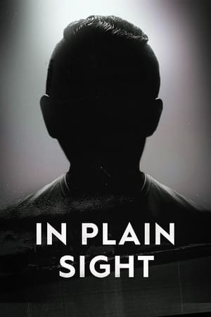In Plain Sight In Plain Sight-hd