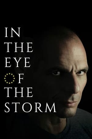 In the Eye of the Storm: The Political Odyssey of Yanis Varoufakis In the Eye of the Storm: The Political Odyssey of Yanis Varoufakis-hd