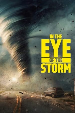 In the Eye of the Storm In the Eye of the Storm-hd