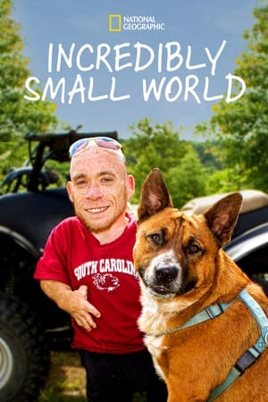 Incredibly Small World Incredibly Small World-hd