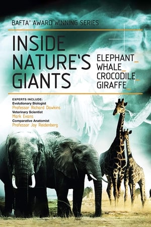 Inside Nature's Giants Inside Nature's Giants-hd