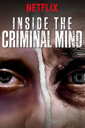 Inside the Criminal Mind-hd