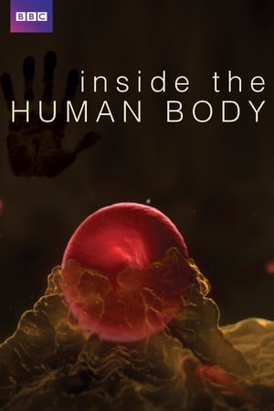 Inside the Human Body Inside the Human Body-hd