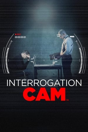 Interrogation Cam-hd