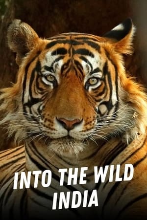 Into the Wild: India Into the Wild: India-hd