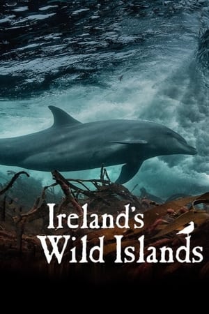 Ireland's Wild Islands-hd
