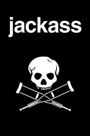 Jackass-hd