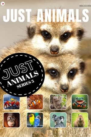 Just Animals Just Animals-hd