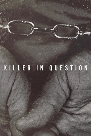 Killer In Question Killer In Question-hd