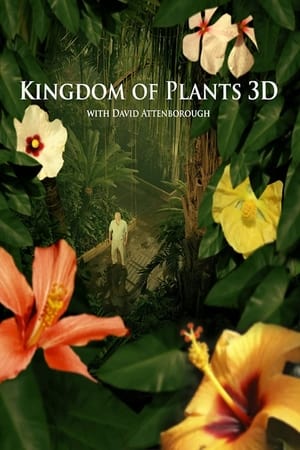 Kingdom of Plants Kingdom of Plants-hd