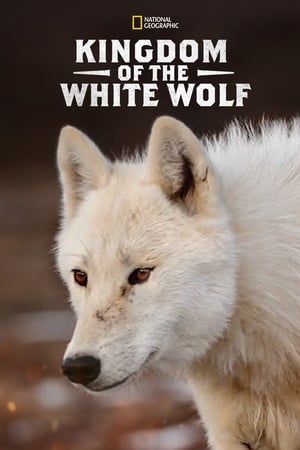 Kingdom of the White Wolf-hd