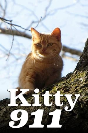 Kitty 911 Kitty 911-hd