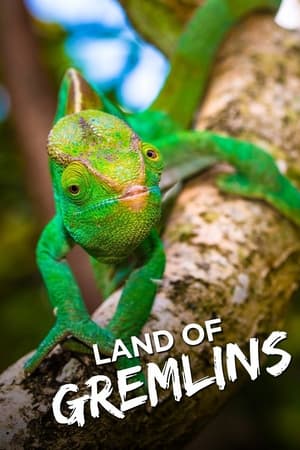 Land of Gremlins Land of Gremlins-hd