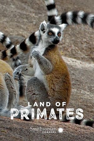 Land of Primates Land of Primates-hd