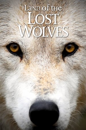 Land of the Lost Wolves Land of the Lost Wolves-hd
