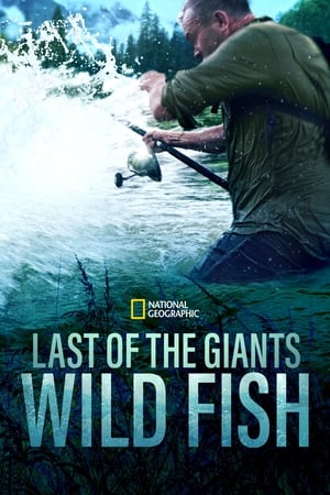 Last of the Giants Last of the Giants-hd