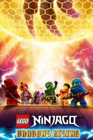LEGO Ninjago: Dragons Rising-hd