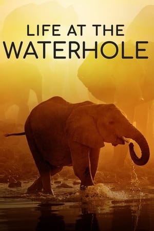 Life at the Waterhole Life at the Waterhole-hd