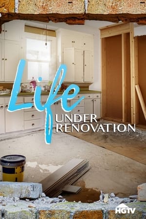 Life Under Renovation-hd