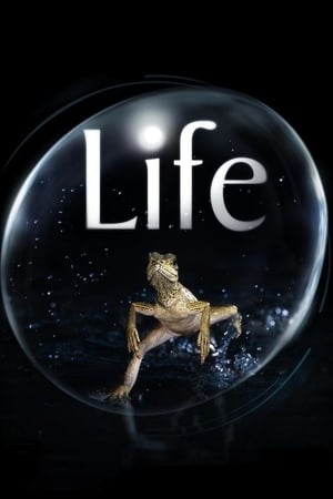 Life Life-hd