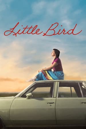 Little Bird Little Bird-hd