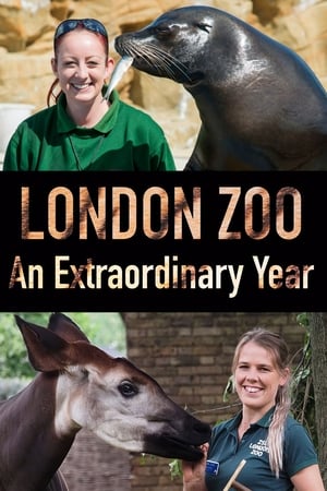 London Zoo: An Extraordinary Year London Zoo: An Extraordinary Year-hd