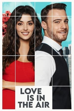 Love Is in the Air Love Is in the Air-hd