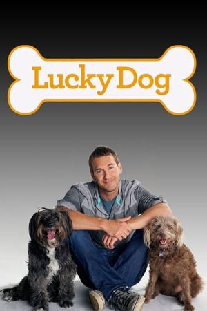 Lucky Dog-hd