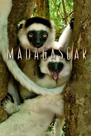 Madagascar Madagascar-hd