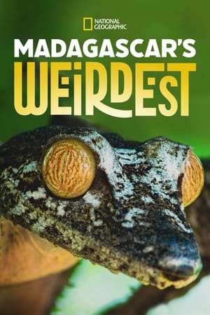 Madagascar's Weirdest-hd