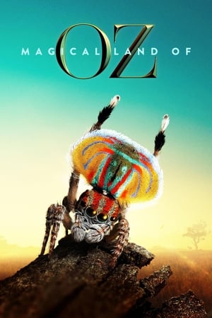 Magical Land of Oz Magical Land of Oz-hd