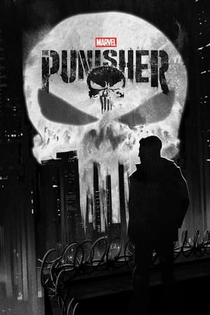 Marvel's The Punisher-hd