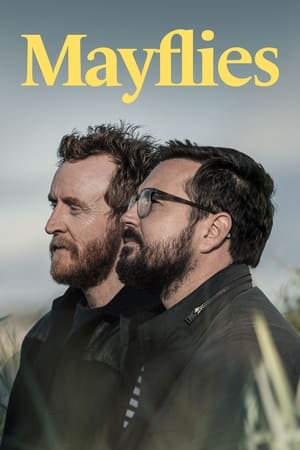 Mayflies Mayflies-hd