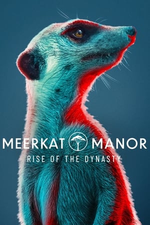 Meerkat Manor: Rise of the Dynasty Meerkat Manor: Rise of the Dynasty-hd