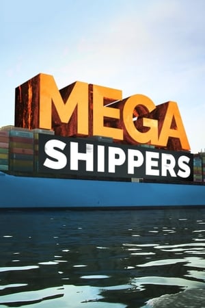 Mega Shippers-hd