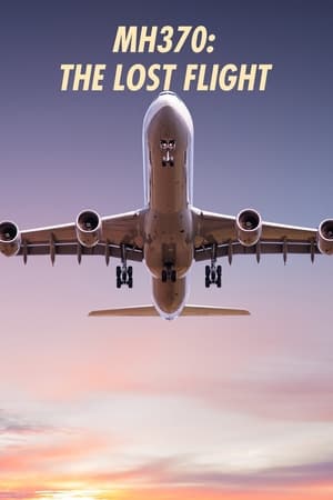 MH370: The Lost Flight MH370: The Lost Flight-hd