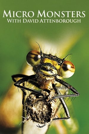 Micro Monsters with David Attenborough Micro Monsters with David Attenborough-hd