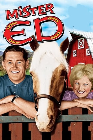 Mister Ed Mister Ed-hd