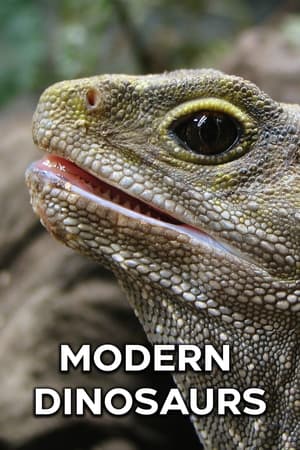 Modern Dinosaurs Modern Dinosaurs-hd