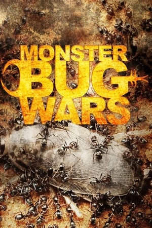 Monster Bug Wars-hd