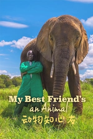My Best Friend's An Animal My Best Friend's An Animal-hd