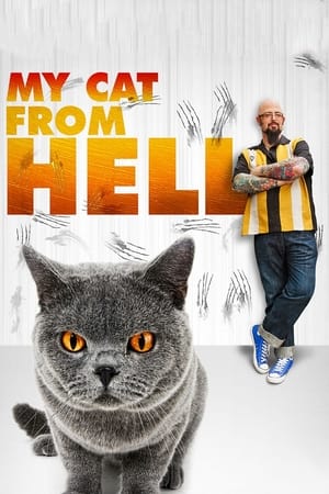 My Cat from Hell My Cat from Hell-hd