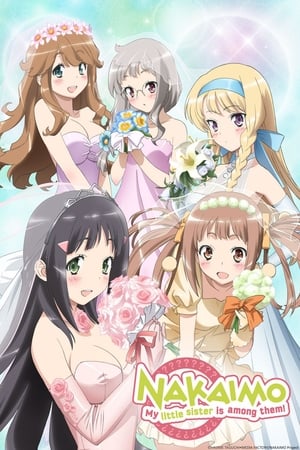 Nakaimo: My Little Sister Is Among Them! Nakaimo: My Little Sister Is Among Them!-hd