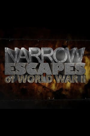 Narrow Escapes of WWII-hd