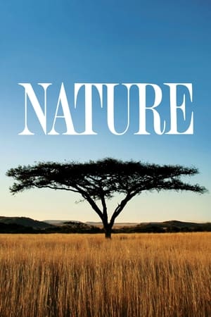 Nature Nature-hd